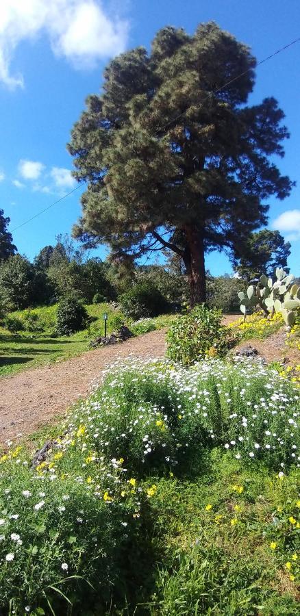 Finca Verode Villa Santa Cruz de Tenerife Bagian luar foto